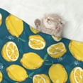 thumbnail image 2 of Disketp Lemon Dog Blanket/Bed Cover for Dogs and Cats,Puppy Essentials-Large, 2 of 8