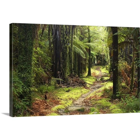 Great Big Canvas "Fox River, Paparoa National Park, West Coast, South Island, New Zealand"  by David Wall Light Yellow Olive Green   Wrapped Canvas Print Wall Artwork