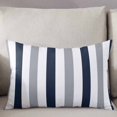 thumbnail image 3 of Farmhouse Stripe Art Body Pillow Cover, Pillowcase Protectors with Zipper, Breathable Decorative Throw Pillow Case Cover, Pillow Shams for Couch Sofa 24x36Inch, 3 of 7