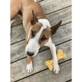 thumbnail image 3 of Nylabone Power Chew Cheese Bone Dog Chew Toy Medium (1 Count), 3 of 16