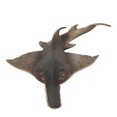 thumbnail image 4 of Hilitand Fish Model, Non-Toxic Harmless Animal Model, Plastic Material For Kids, 4 of 8