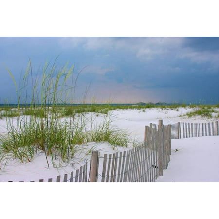 USA, Florida. Dunes and grasses on Santa Rosa island beach. Print Wall Art By Anna (Best Grass For Central Florida)