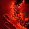 thumbnail image 5 of 750 LED String Lights Cluster Lights - 41ft Red Green Wire Outdoor Waterproof Lights, Plug in Indoor String Lights with 8 Modes & Timer Memory for Xmas, Christmas Tree, 5 of 5