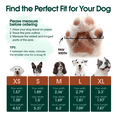 thumbnail image 3 of Kuoser Anti-Slip Dog Socks with Double-Sided Traction, 4 Piece Pet Booties for Senior, Dog Paw Protector for Hardwood Floors, Hot Pavement and hot/icy surfaces, Gray, M, 3 of 9