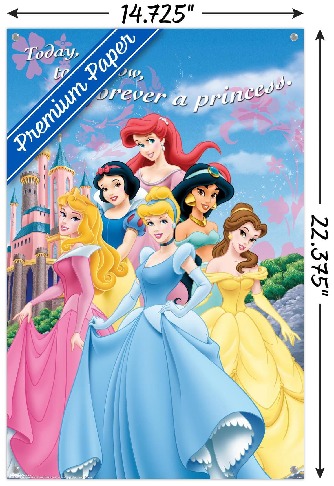 Disney Princess - Castle Wall Poster with Wooden Magnetic Frame
