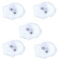 thumbnail image 2 of Spider Web,5pcs Spider Web Terrible Halloween Decor Halloween Spider Web Quality You Can Trust, 2 of 14