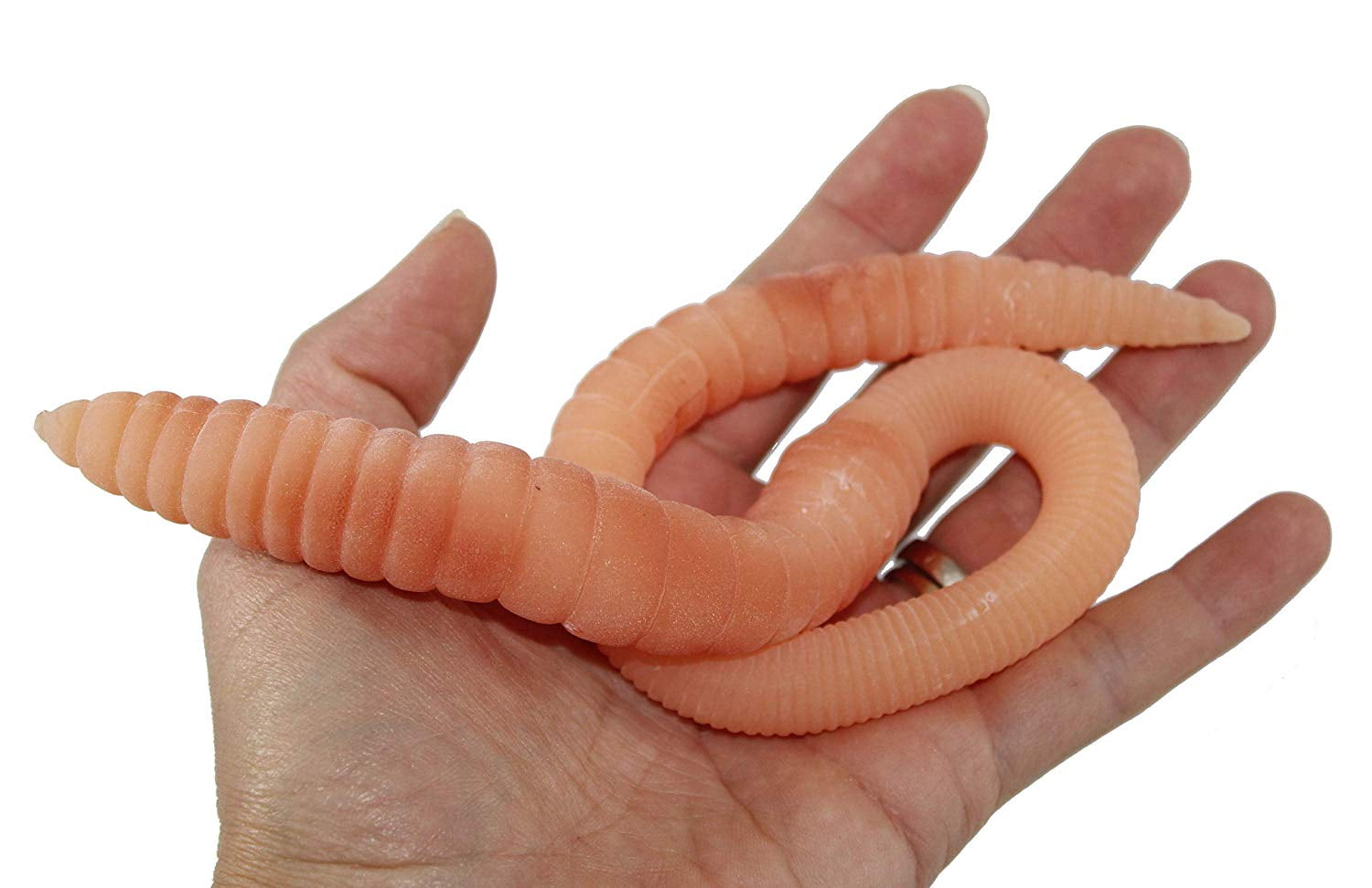 Stretchy Worm - Squishy Sensory Fidget Toy - Stress Relief - Builds  Resistance - Kids Adults