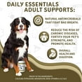 thumbnail image 2 of waggedy Daily Essentials Adult Chews, Dog Multivitamin & Immune System Support (2 Packs, 60 Chews Each), 2 of 7