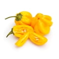 thumbnail image 5 of African Yellow Pepper-2OZ Pack, 5 of 5