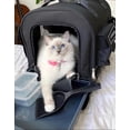 thumbnail image 4 of Kitty Obsession Cat Carrier & Emergency Travel Kit, Black, 4 of 7