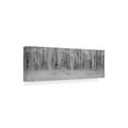 thumbnail image 2 of Trademark Fine Art 'Black And White Birch' Canvas Art by Dan Ballard, 2 of 3