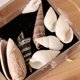 thumbnail image 5 of Colección de Fósiles de Conchas Marinas Naturales Juego para Aprendizaje de Ciencia de Tierra de Niños Sunnimix Colección de muestras de conchas marinas, 5 of 8