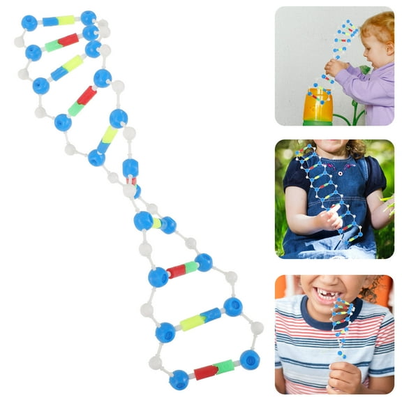 WRITWAA Multi-Color Double Helix DNA Model Teaching Aid for Science Educators, Plastic Classroom Tool, 1 Piece for Biology Learning