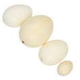 thumbnail image 2 of 4pcs in 1 Suit Bird Eggs Model Simulation Egg Speckled Eggs for Gifts Children(Assorted Color), 2 of 6