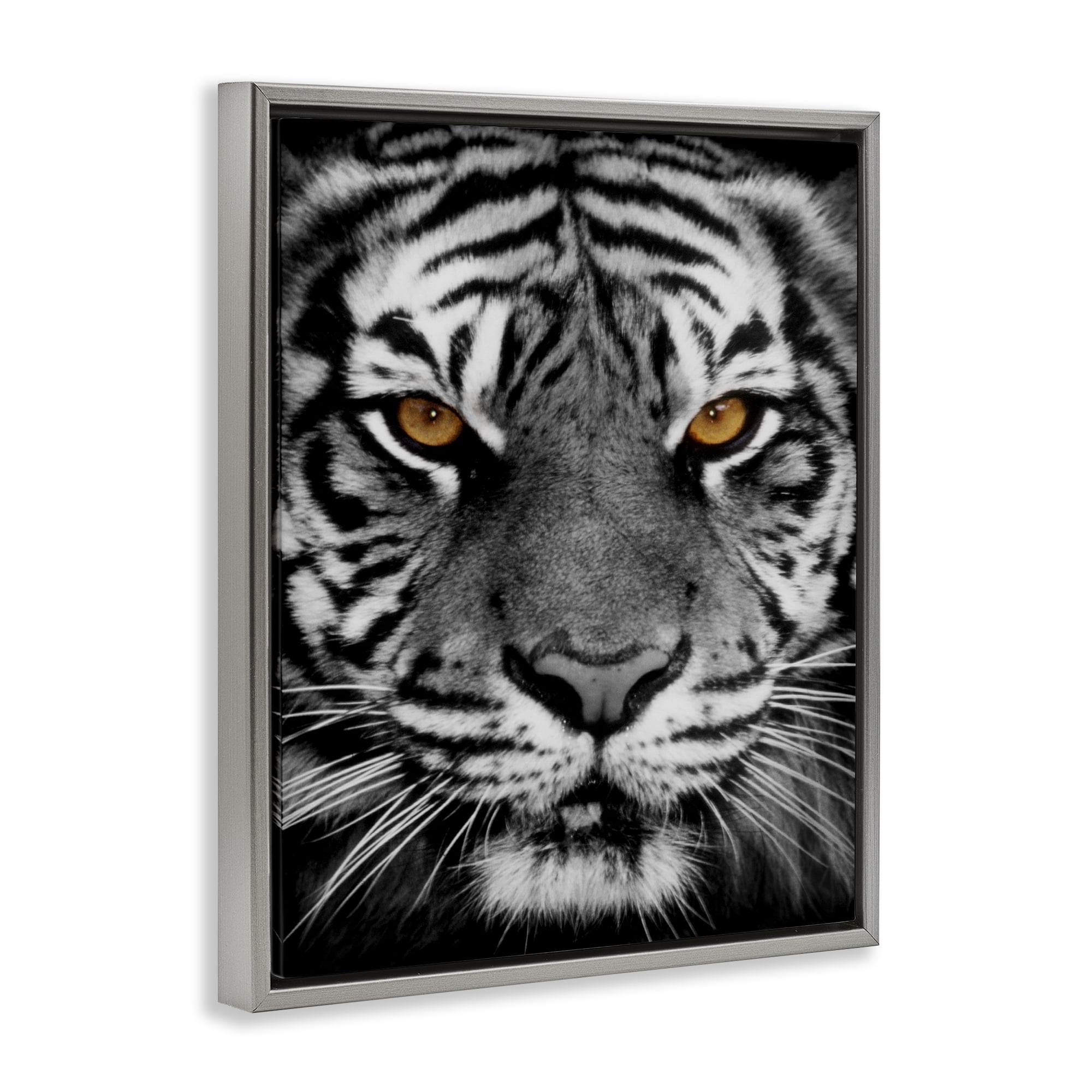 Stupell Industries Fierce Eyed Tiger Animals Painting Gray Floater Framed Canvas Art Print Wall Art, 17 x 21