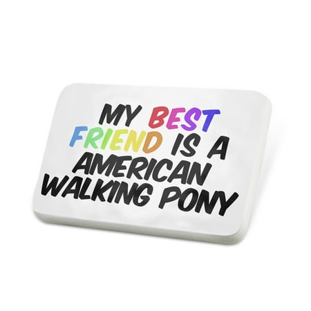 Porcelein Pin My best Friend a American Walking Pony, Horse Lapel Badge –