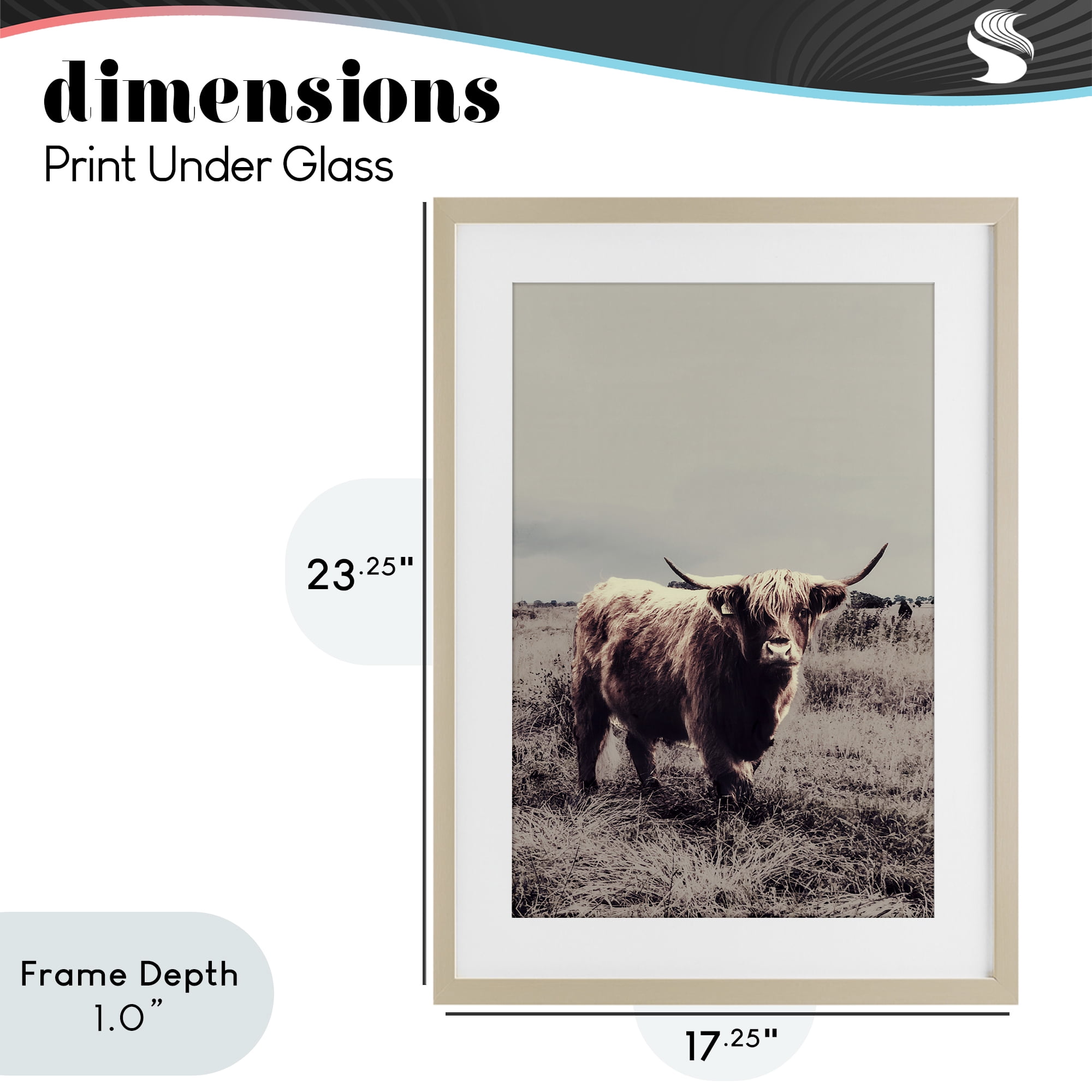 Stupell Industries Horned Cattle in Pasture Birch Framed Print Under Glass, design by SD Graphics Studio