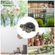 thumbnail image 5 of 10 adornos de tortuga para pecera, tortugas artificiales, decoración paisajística para acuario, 5 of 7