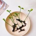 thumbnail image 6 of Tyeign Sprout Hair Clips Little Grasst Hairpins Funny Barrette Headwear Hair Accessories for Women Girls Teens Daily Wear office Office Home Party Gift Cute Trendy Stuff, Funny Grass Hairpin, 6 of 7