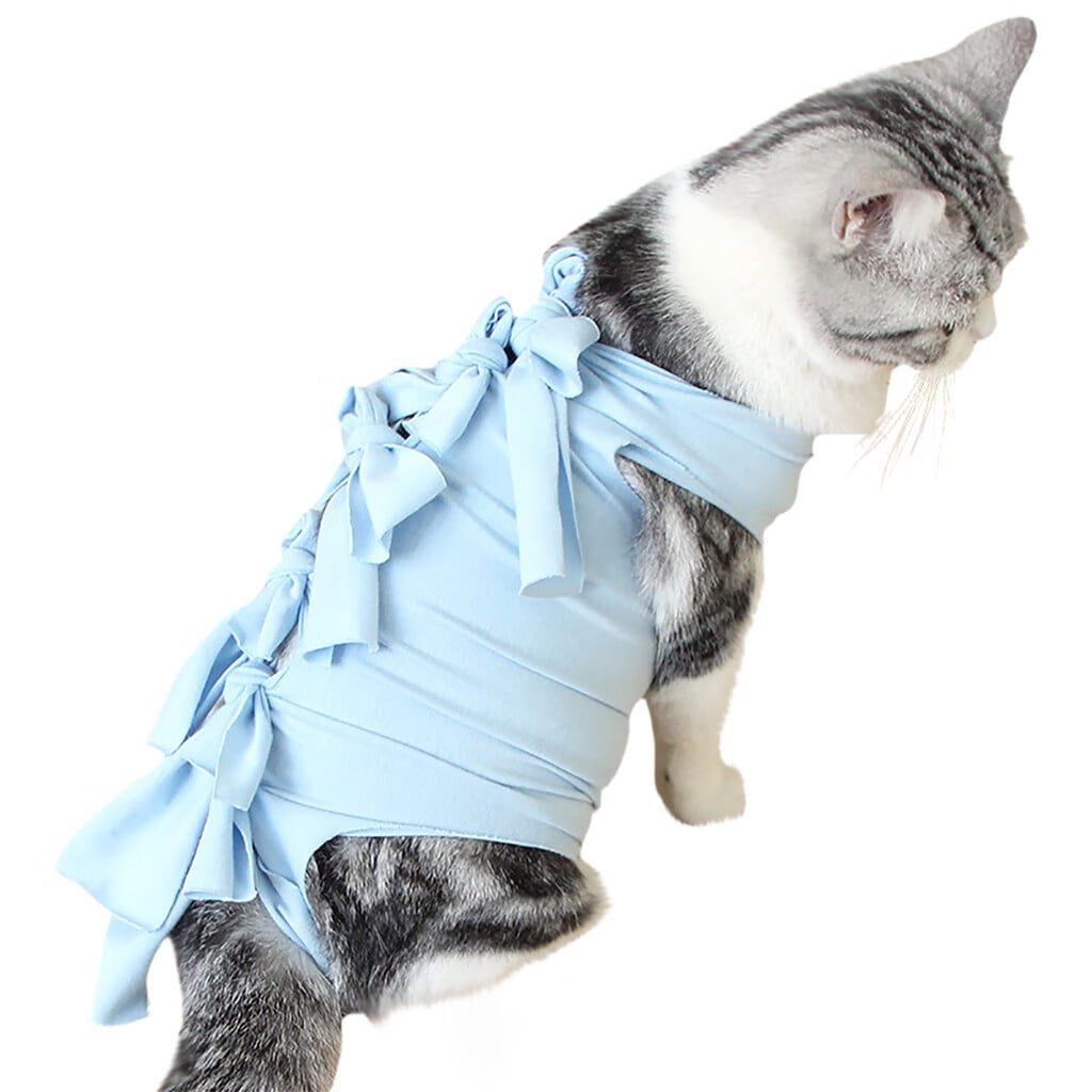 cat surgical shirt