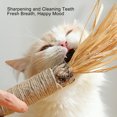 thumbnail image 4 of Cat Chew Toy, Unique Silvervine Sticks Cat Toy Reliable Fun Enlarged Portable  for Cat, 4 of 7