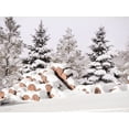 thumbnail image 2 of Deiter, Lori 32x25 Gold Ornate Wood Framed with Double Matting Museum Art Print Titled - Snowy Logs, 2 of 4