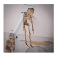thumbnail image 3 of 3D Printed Funny Goth Skeleton Fridge Magnets, Funny Goth Human Skeleton Toy, 3 of 5