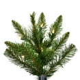 thumbnail image 2 of Vickerman 3.5' Bennington Spruce Artificial Christmas Tree, Clear Dura-lit Lights - Faux Spruce Christmas Tree - Seasonal Indoor Home Decor, 2 of 2