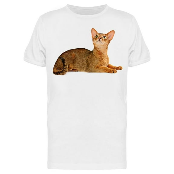 An Abyssinian Kitten Lying Down T-Shirt Men -Image by Shutterstock, Male 3X-Large