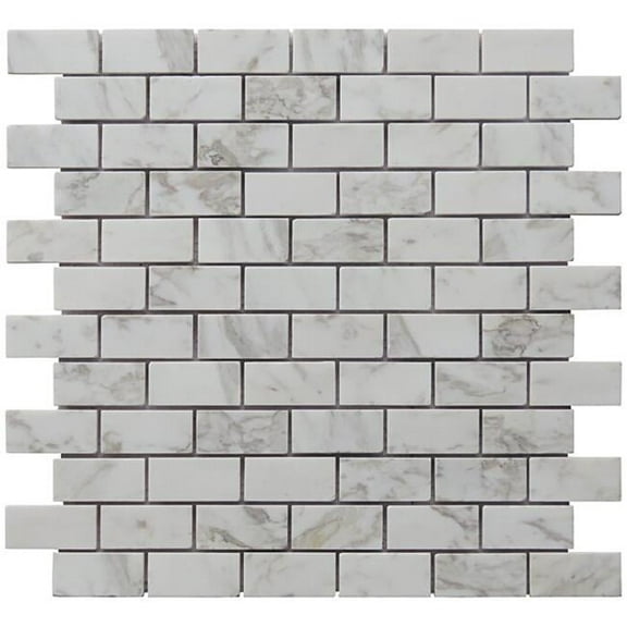 Intrend Tile NS020-C 1 x 2 in. Carrara Stone Mini Brick Pattern Mosaic