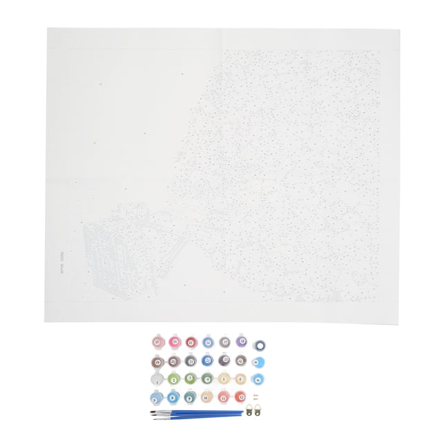Pintura de bricolaje por números pintura divertida de bricolaje por números para regalo para hacer artesanías