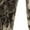 Veil Canyon Gray, variant on Muddy Outdoors Men's DV8 Morph Pants Mossy Oak Bottomland Medium