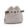 Pusheen Case 6.5 (Other)
