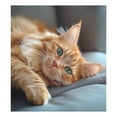 thumbnail image 6 of Dishwasher Sticker Dishwasher Cover Magnet Refrigerator Home Decorative Art Kitchen Panel Decal Orange Cat Lying on Sofa 23x26 Inch, 6 of 6