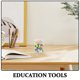 thumbnail image 2 of 100 bolas de plástico para contar bolas de aprendizaje de probabilidad, juegos de matemáticas para niños, herramientas educativas, bolas pequeñas para clasificar y enseñar para uso en el aula, 2 of 6