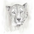 thumbnail image 2 of Popp, Grace 26x28 White Modern Wood Framed Museum Art Print Titled - Big Cat Study I, 2 of 4