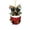 B-1B-home supplies, variant on KTTECTOA Border New Cute Christmas Socks Dog Christmas Tree Pendant Decoration Holiday Gift Christmas Clearance House Decor Canada Days Birthday Fall Decorations for Home