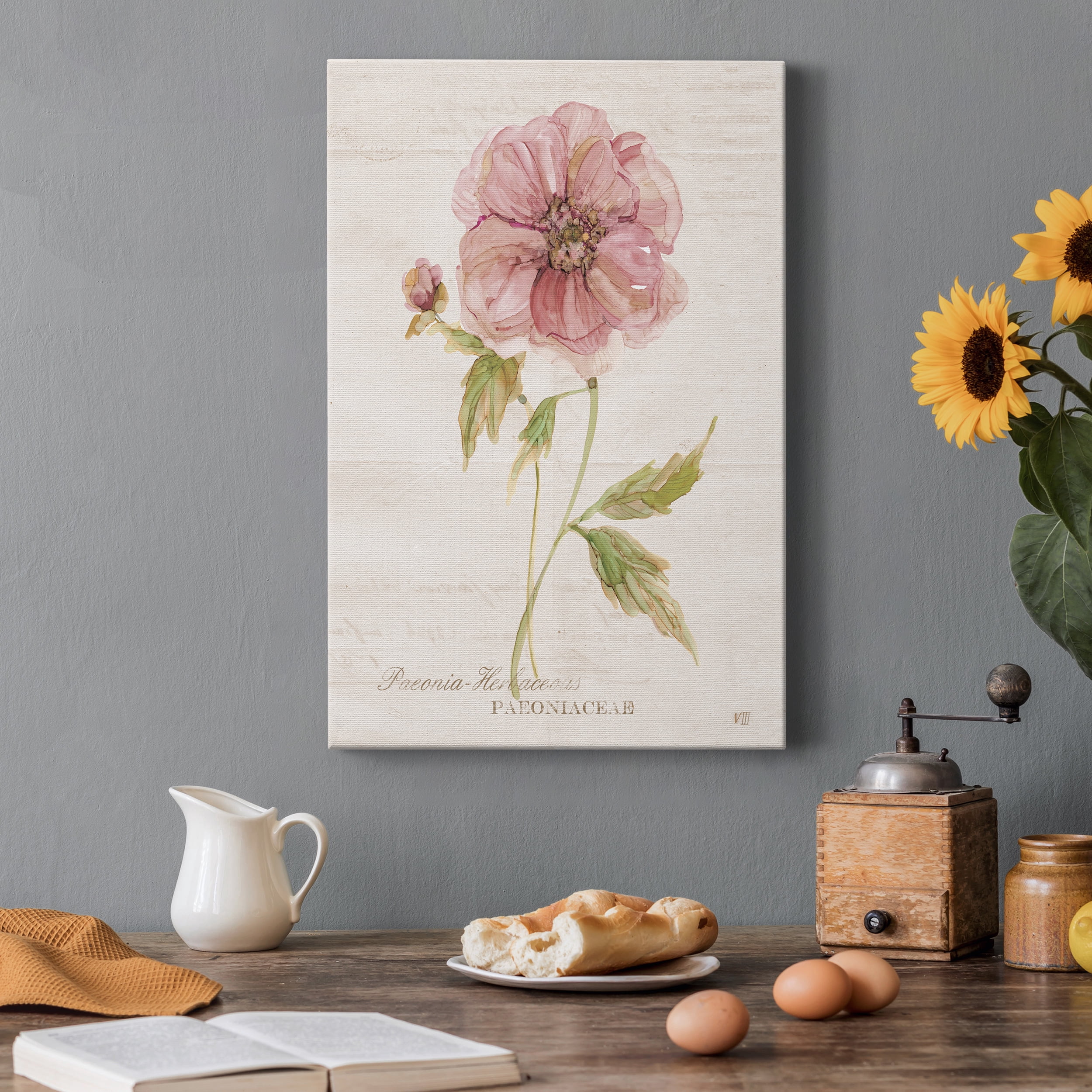 Soft Peony Premium Gallery Wrapped Canvas - Ready to Hang - 24 x 36