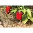 thumbnail image 3 of Rain Bird ET25512-50 Drip Watering Emitter Tubing, 1/4" x 50', 3 of 5