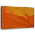 thumbnail image 1 of Vitaly Geyman 18x14 Gallery Wrapped Canvas Wall Art Titled - Leaf Romance IV, 1 of 4