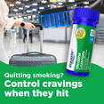 thumbnail image 4 of (2 pack) Equate Nicotine Polacrilex Lozenge 2 mg, Mint Flavor, Stop Smoking Aid, 108 Count, Compare to Nicorette® Lozenge Active Ingredient, 4 of 10
