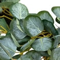 thumbnail image 5 of Northlight Eucalyptus Leaves Artificial Botanical Spring Wreath - 20", 5 of 8