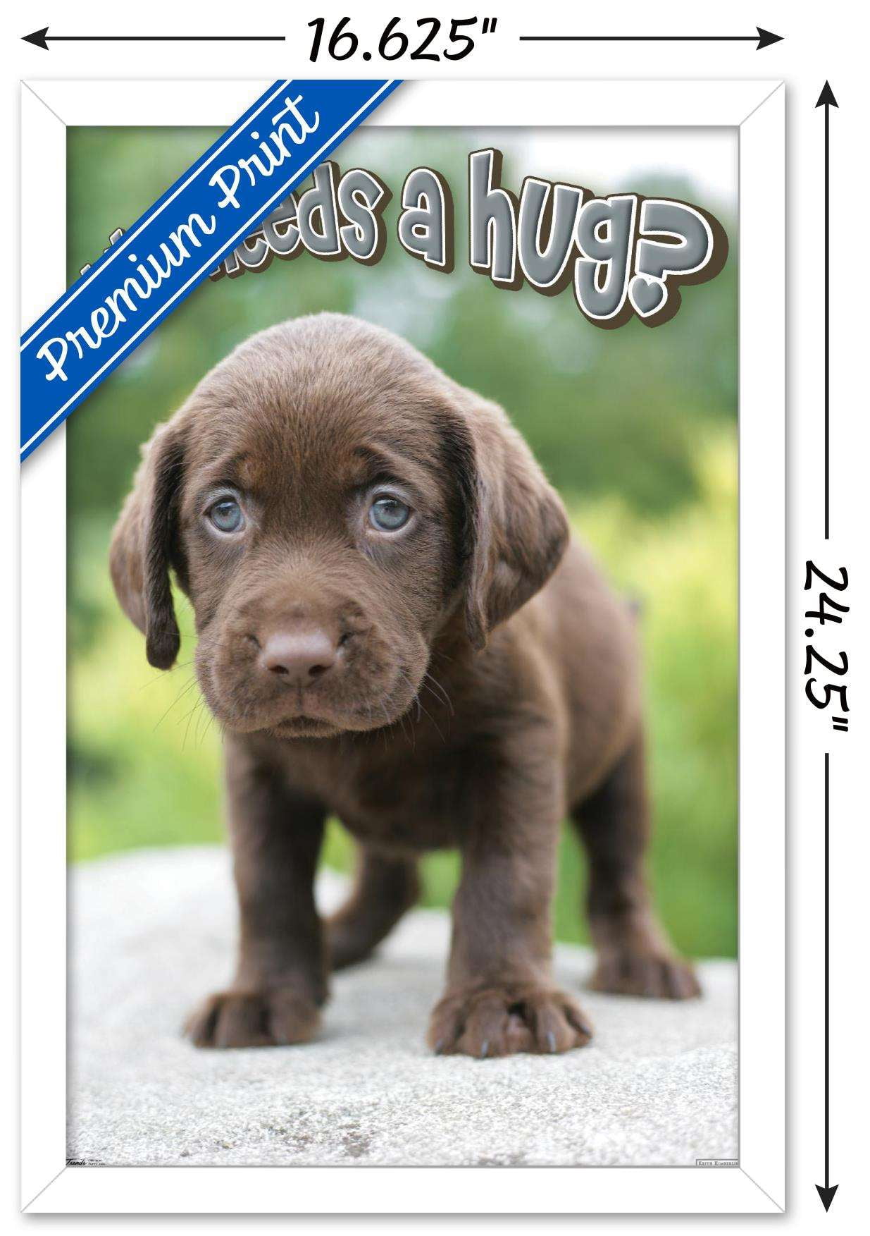 Keith Kimberlin - Puppy - Who Needs a Hug? Wall Poster, 14.725" x 22.375", Framed