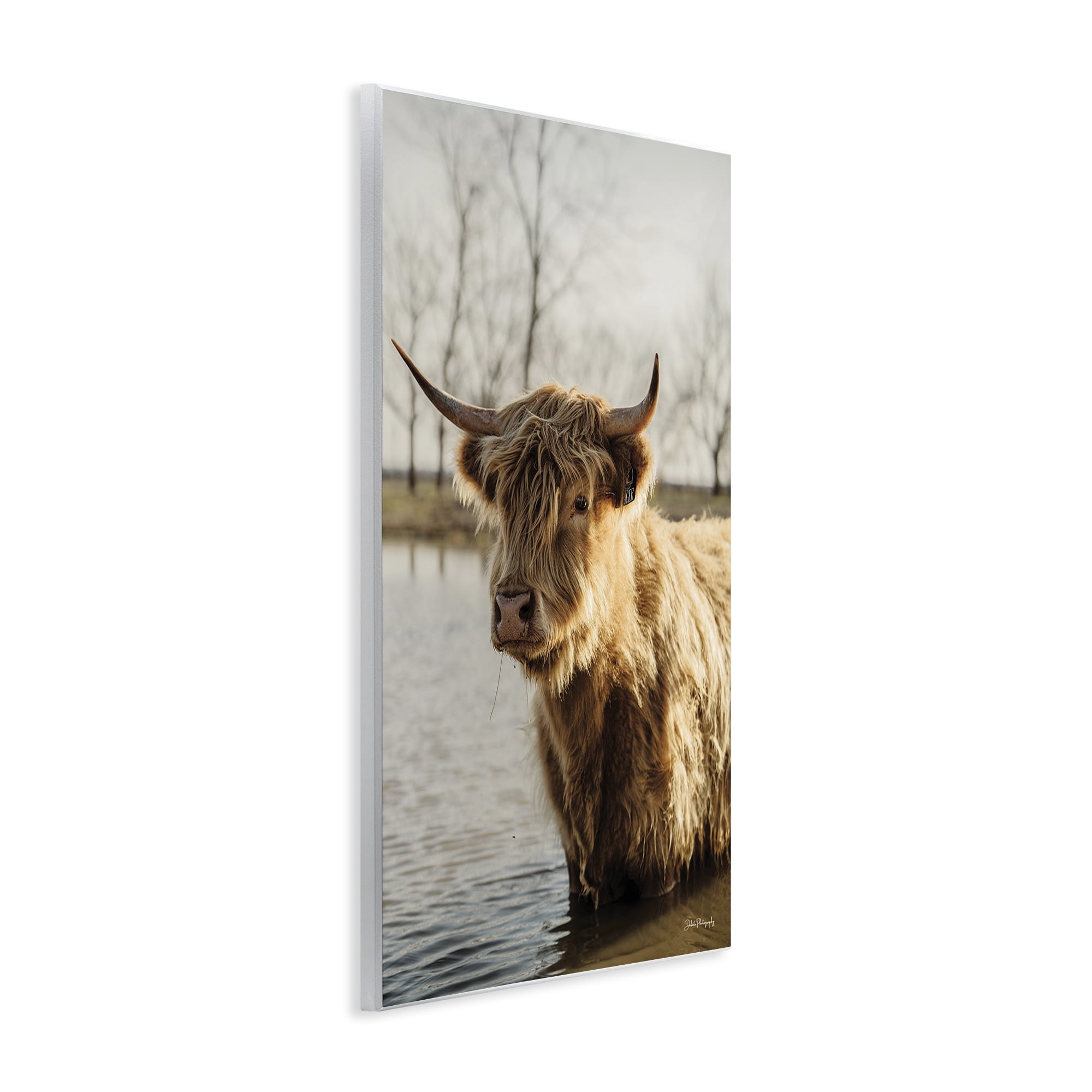 Stupell Industries Peering Cattle in Water Animals & Insects Photography Unframed Art Print Wall Art, 13 x 19