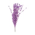 thumbnail image 1 of s de bayas artificiales Bayas Flor de simución Flor Artesanía a prueba de agua Plástico para decoración del hogar Banquete de Púrpura Sunnimix tallo de baya feke, 1 of 8