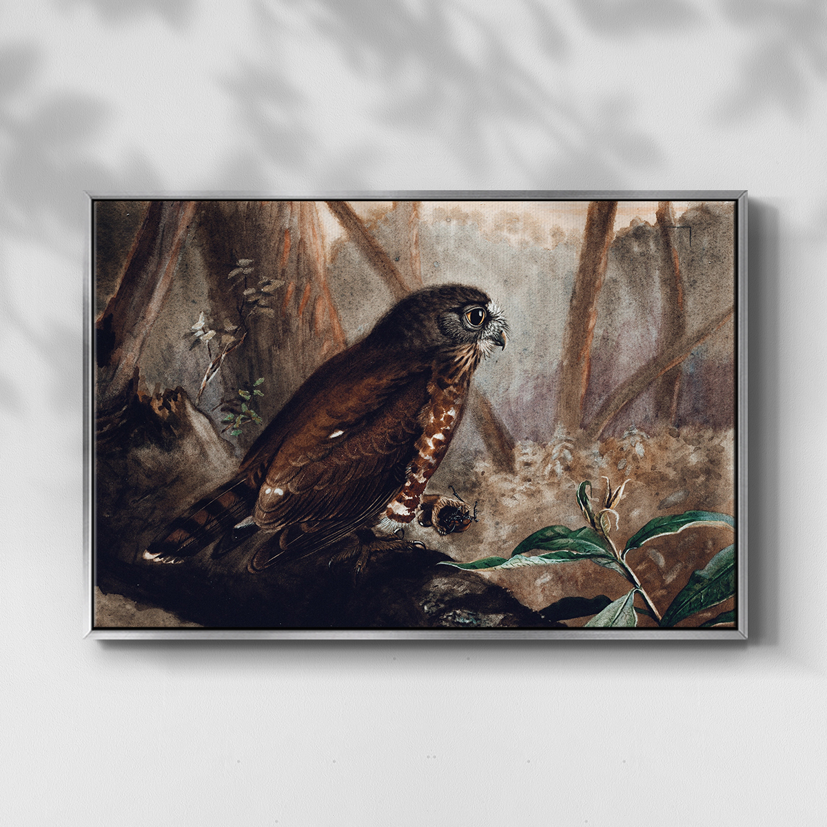 Vintage Animal Print-XVII By Wexford Home Framed in Silver Wood Gallery Wrapped Canvas 27 in. x 41 in.