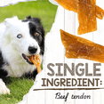 thumbnail image 3 of Nature Gnaws Beef Tendons, Natural Dog Chew Treats (5 count), 3 of 8