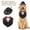Black, variant on Adjustable Dog Tuxedo with Bow Tie - Soft Wedding Suit for Small to Medium Dogs, Breathable & Easy to Clean Pet Tuxedo Outfit for Golden Retriever, Bichon, Teddy Bear Costume for Photos