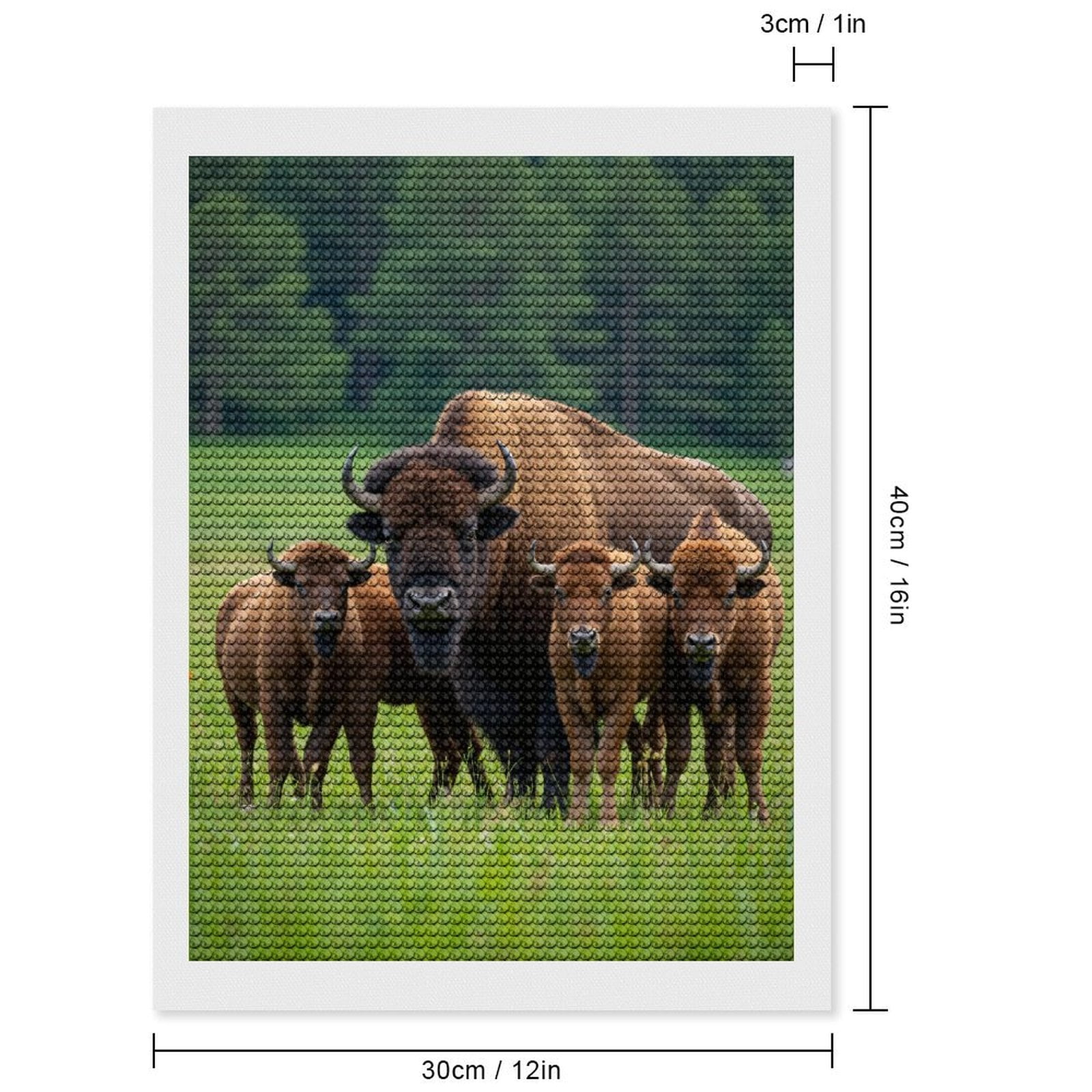 Diamond Art Kits for Adults, Bison Family In Lush Green Field 5D Diamond Painting Kits for Adults Beginners, DIY Full Drill Diamond Painting, Gem Art and Crafts 12x16