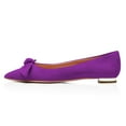 thumbnail image 2 of YDN Women Stylish Bowknot Chunky Low Heel Pumps Comfy Pointed Closed Toe Ballet Flats Slip on Soft Office Shoes Size 8 Orchid, 2 of 5
